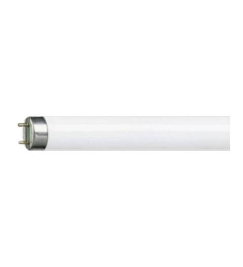 BIGLED TUBE T5